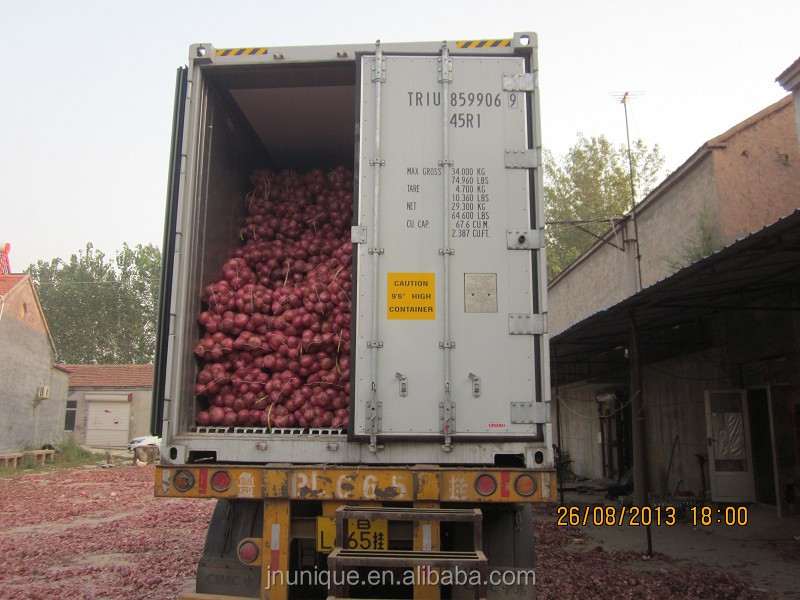 2014 fresh round onion with moderate price