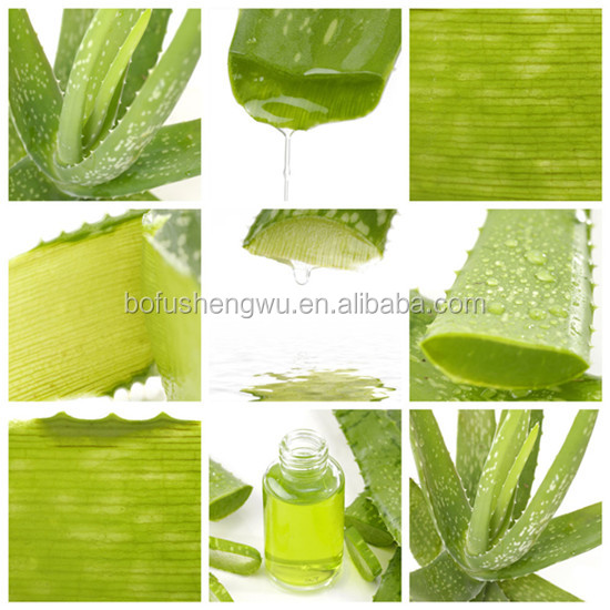 Factory direct supply with competitive price 100% Natural 20% Aloin Aloe Vera Powder Extracts