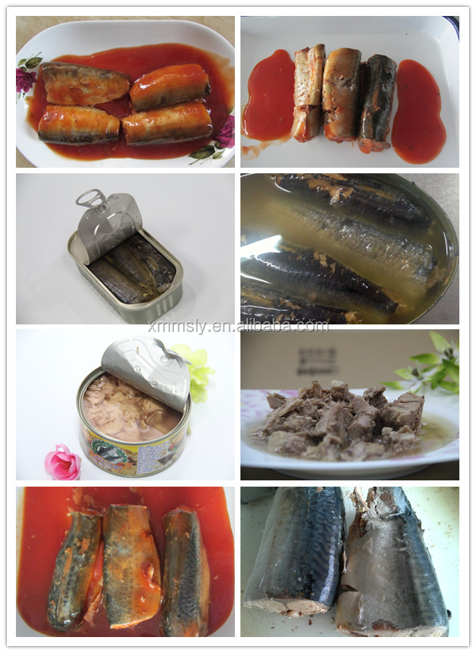 Canned Saridine/Canned mackerel/Canned Tuna/Canned fish