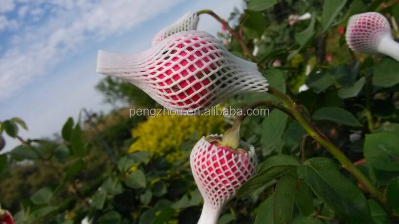 泡の花はバラネット中国の製造元仕入れ・メーカー・工場