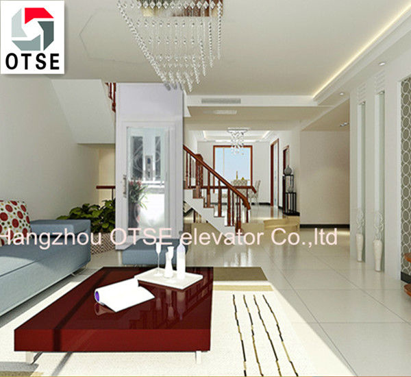 MRL_250kg_home_elevator_produce_in_china (2).jpg