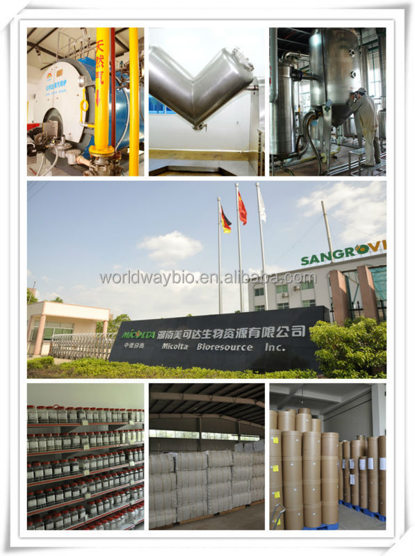 Cocoa extract 10-20%Theobromine cocoa bean powder