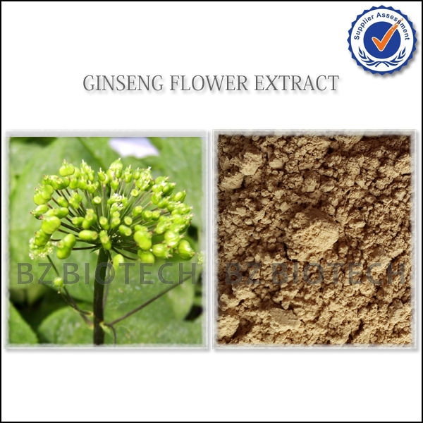 KOREAN RED GINSENG LEAF EXTRACT POWDER FOR TEA,WATER SOLUBLE GINSENG LEAF EXTRACT POWDER