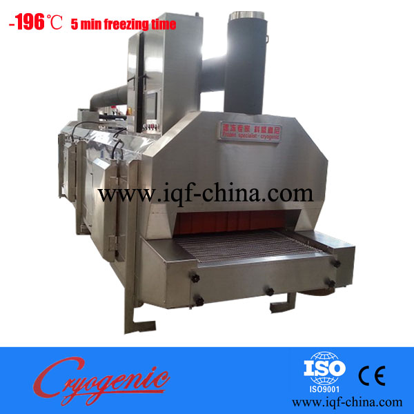 sardine tunnel iqf machine