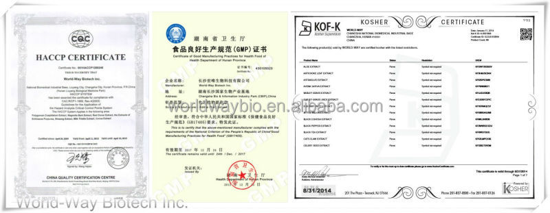 Brown Dutched Natural alkalized cocoa extract