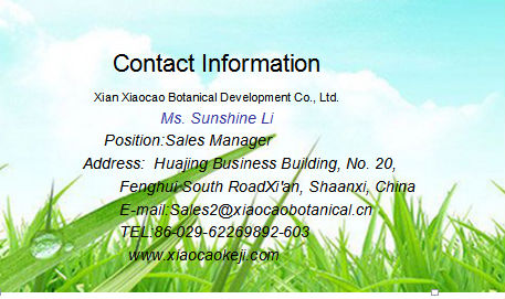 Decaffeinated Green Tea Extract Powder,Matcha Green Tea Extract,Green Tea Extract Polyphenol