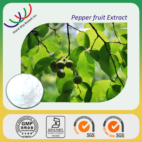 Free sample High quality 10% piperine Organic black pepper extract powder