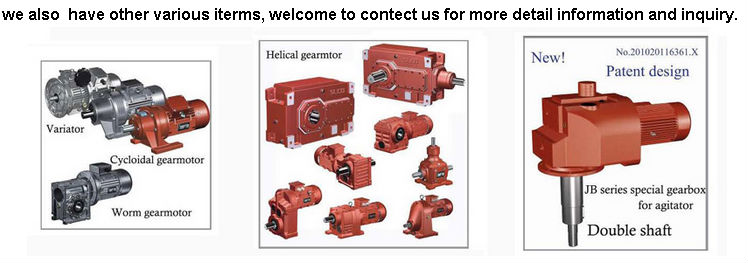WB series cycloidal Speed reducer for Food machinery small black pepper flavored snacks food machine