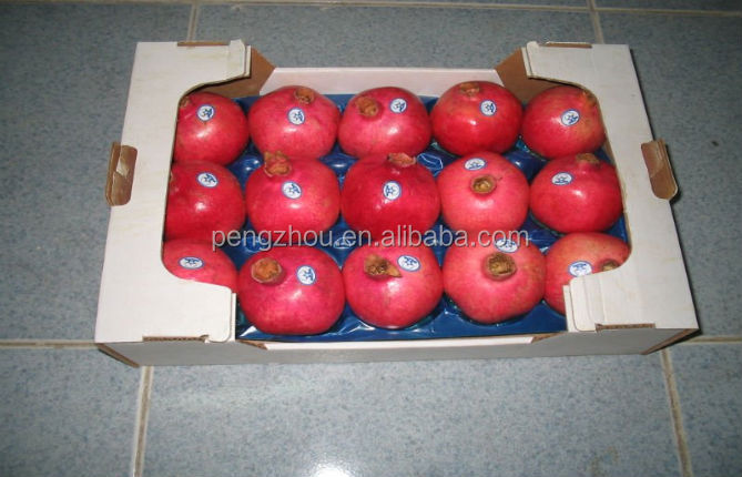 fruit Nested Plastic Tray