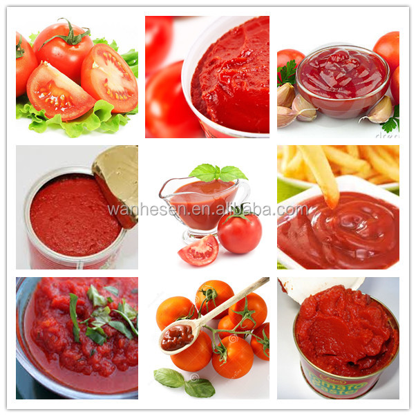Xinjiang Origin tomato paste plant tomato paste