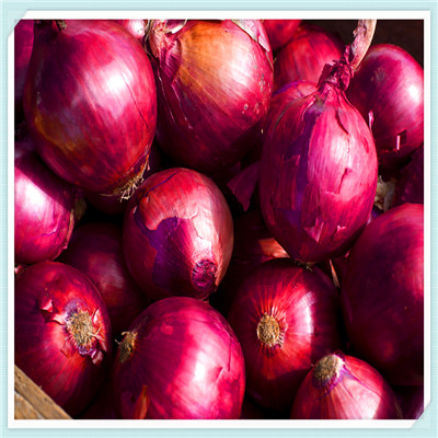 2014 crop fresh red onion high quality and good price