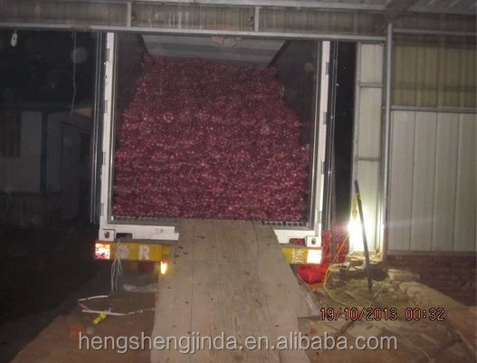 Fresh red onion