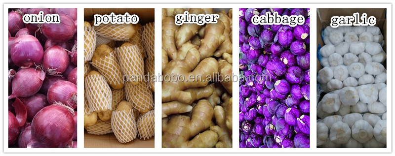 small size holland potato export to Srilanka