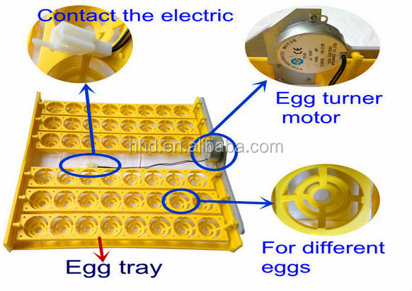 Chicken Egg Incubators