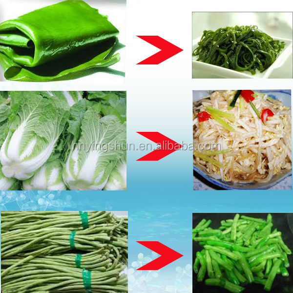 2014 new arrival multifunctional stainless steel vegetable shredder