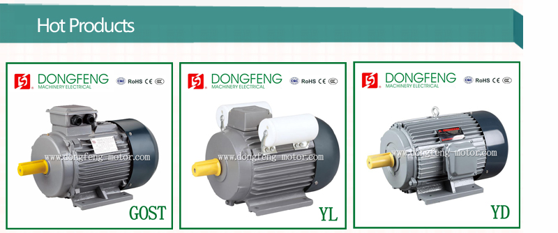 MC Electric Motor Price 110V/220V 60HZ on Request are Available