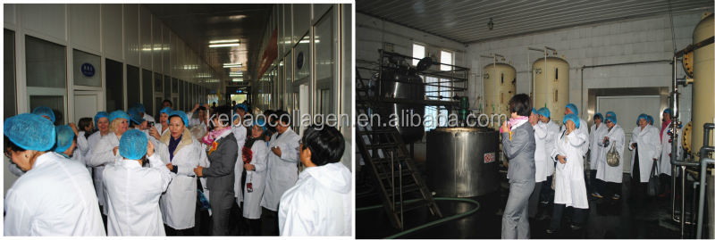 Tilapia fish scale Collagen Peptide Powder