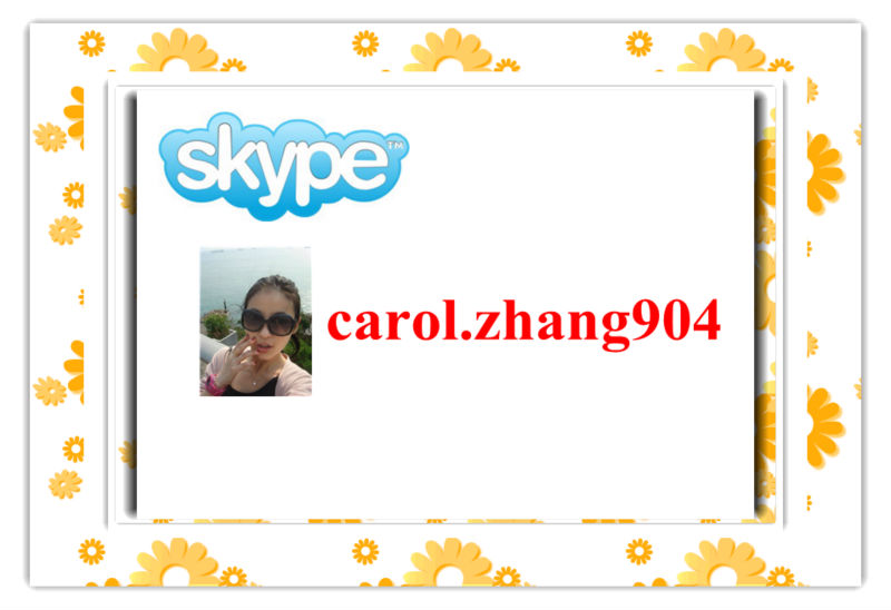 carol skype