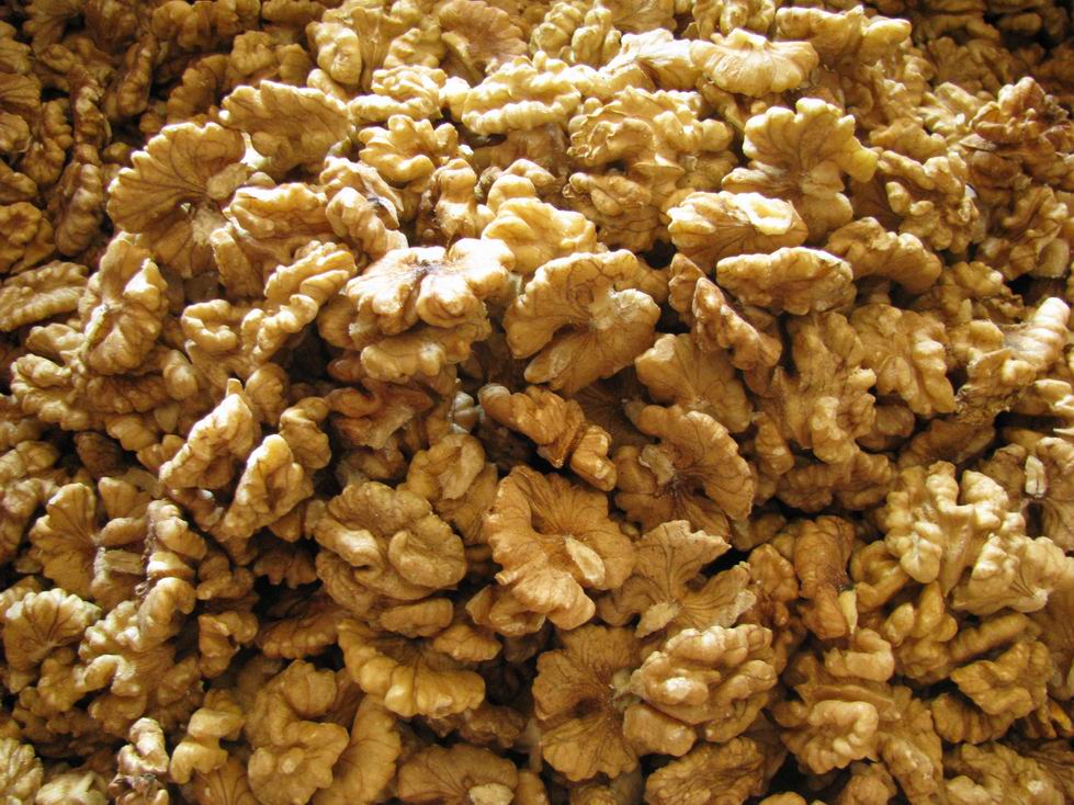 walnuts in shell price