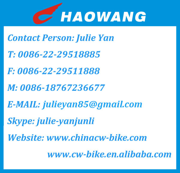 中国新2014年ファットタイヤビーチクルーザーバイク仕入れ・メーカー・工場