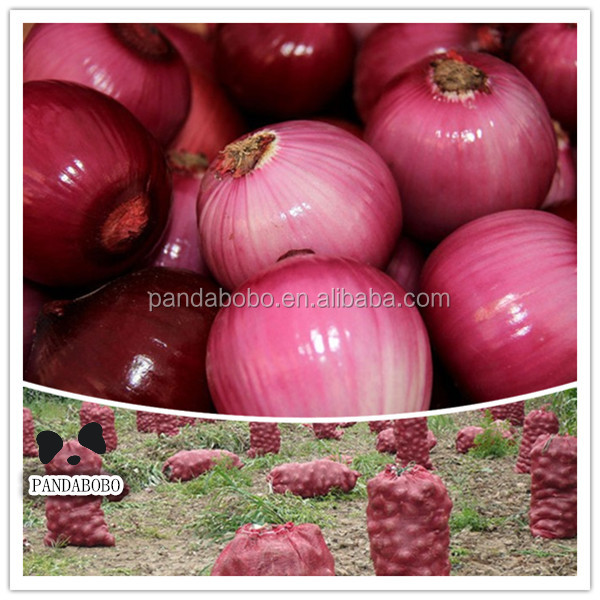 2014 new crop wholesale fresh red onion vegetable for the importers in singapore as a supplier and exporter