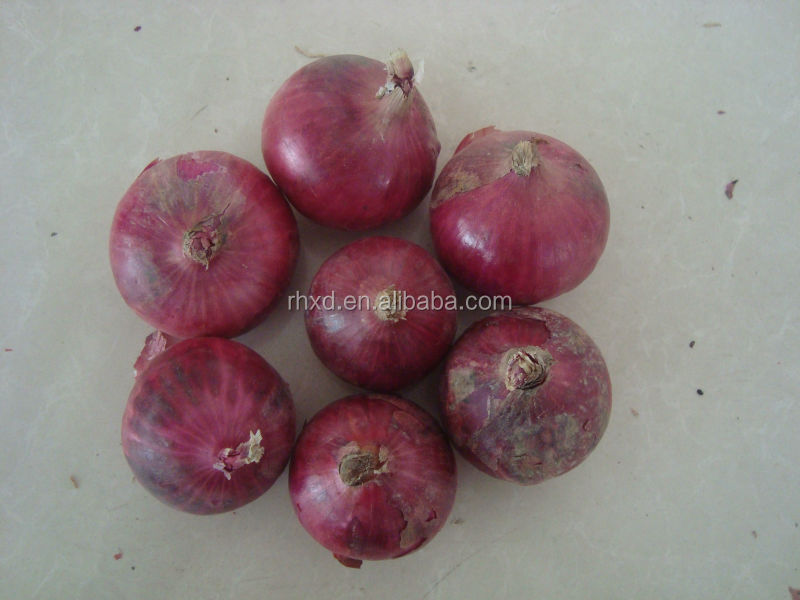 2014 new lowest price fresh red onions