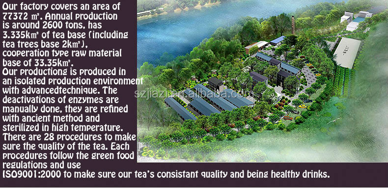 refine chinese tea