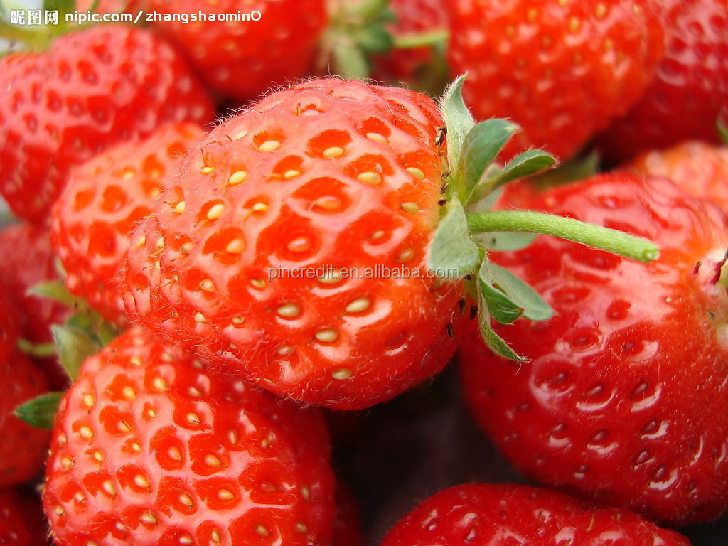 Instant strawberry juice powder fruit juice powder