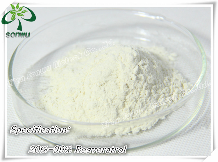 polygonum cuspidatum extract resveratrol bulk powder