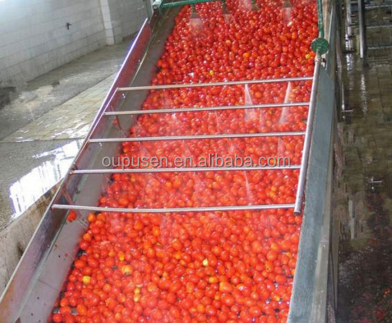 Drummed Sauce Ketchup Tomato Paste