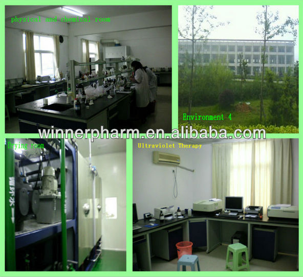 High quality Cinnamon extract powder / 10%-30%cinnamon polyphenol