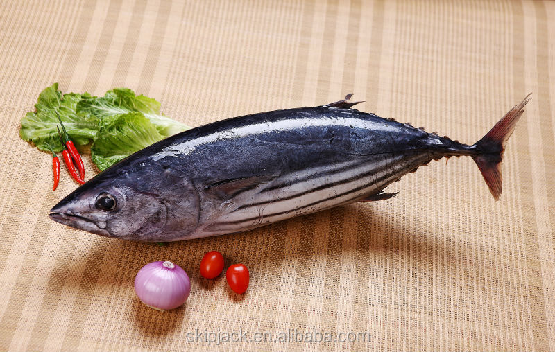 skipjack chunk tuna can