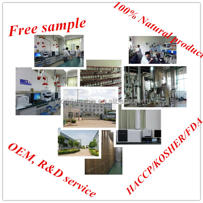 free sample natural cocoa extract polyphenols