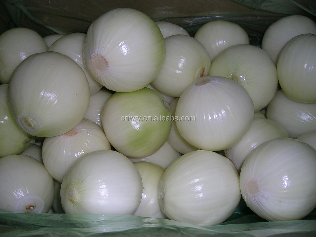 2014 FRESH YELLOW ONIONS FOR DUBAI