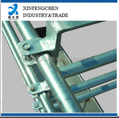 xijie3.jpg