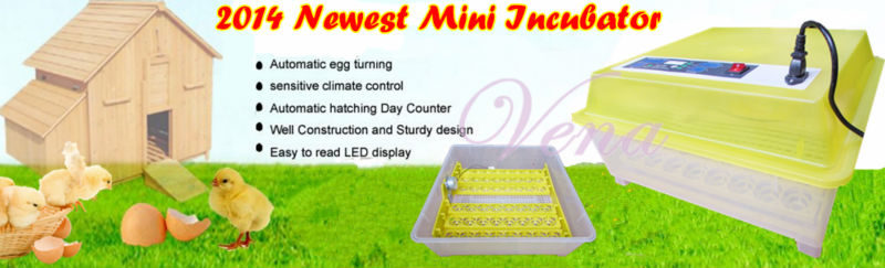 2014 Top Selling 2nd Generation Home Use Small Automatic Artificial Climate Hatcher Transparent Chicken Egg Incubator