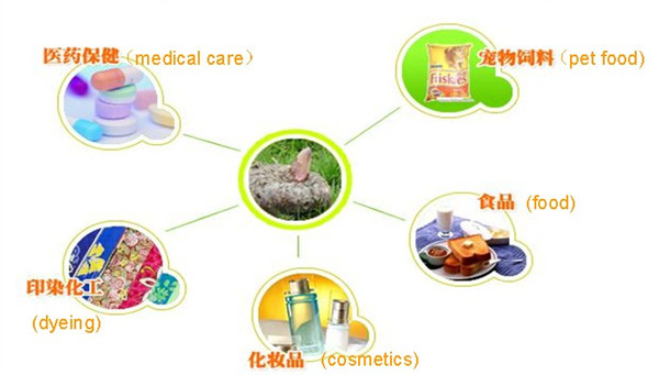 Low calories konjac swimming noodles in knots
