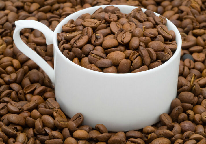 HPLC 10% 20% cocoa extract powder cacao theobromine