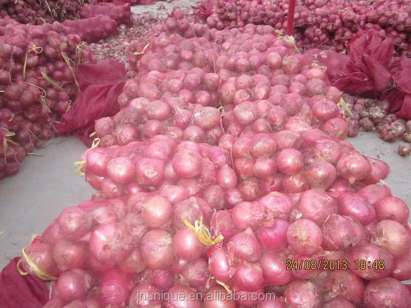 2014 new crop new fresh onion