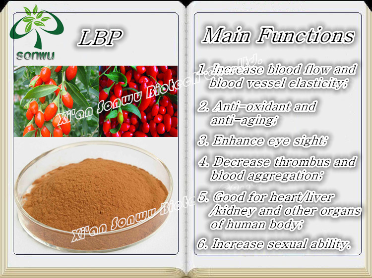 Chinese wolfberry extract powder goji berry