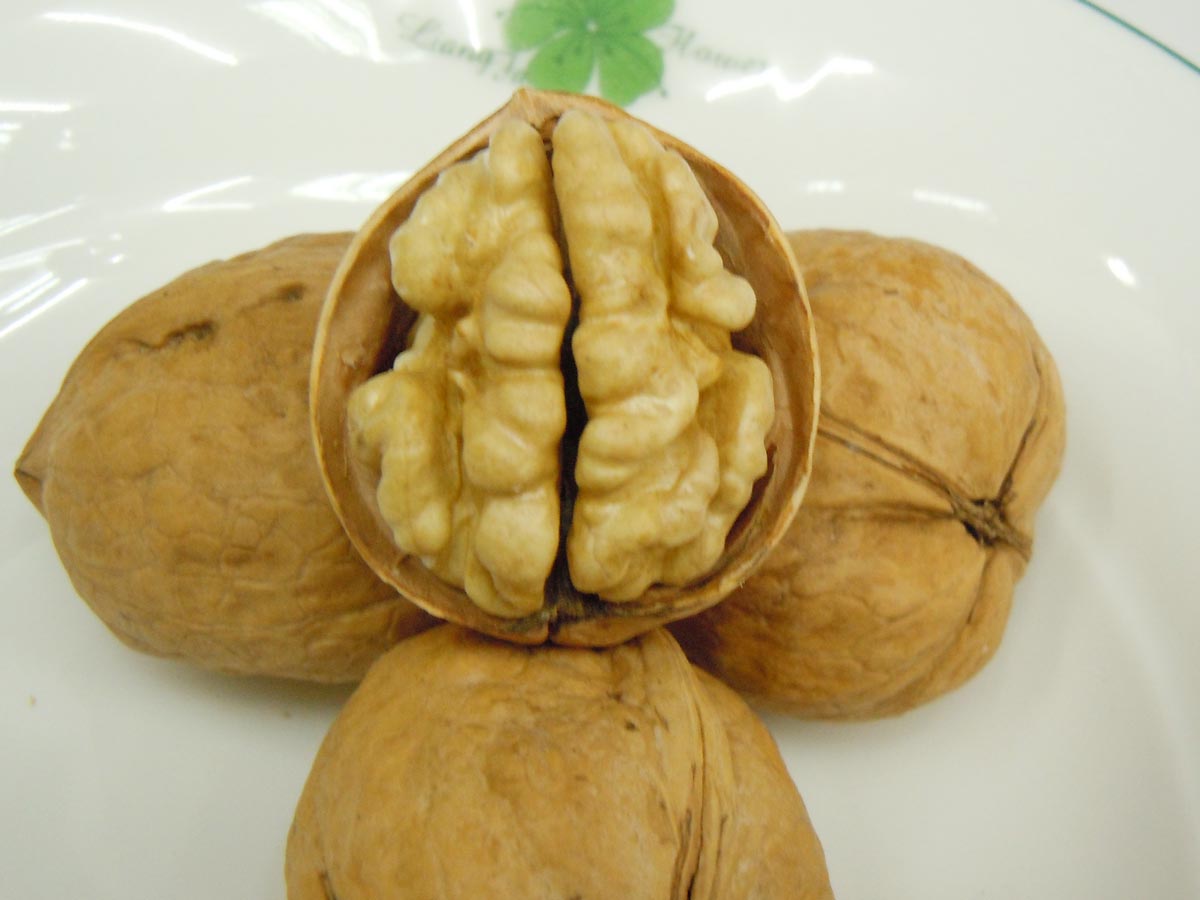 walnuts in shell price