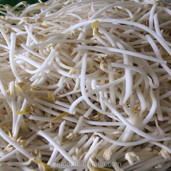 2014 factory all year bulk wholesale frozen mung bean sprouts export