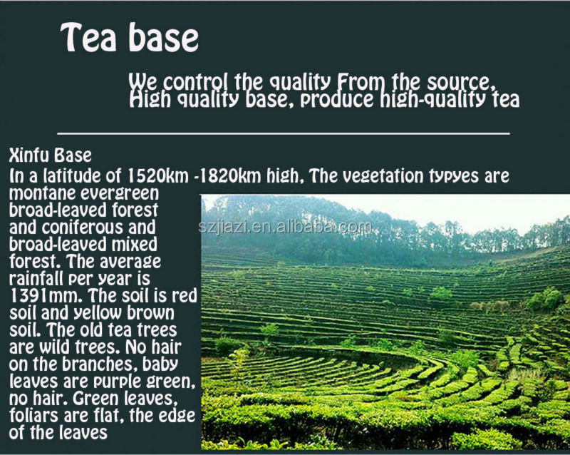 Puer flavor refined chinese tea gift