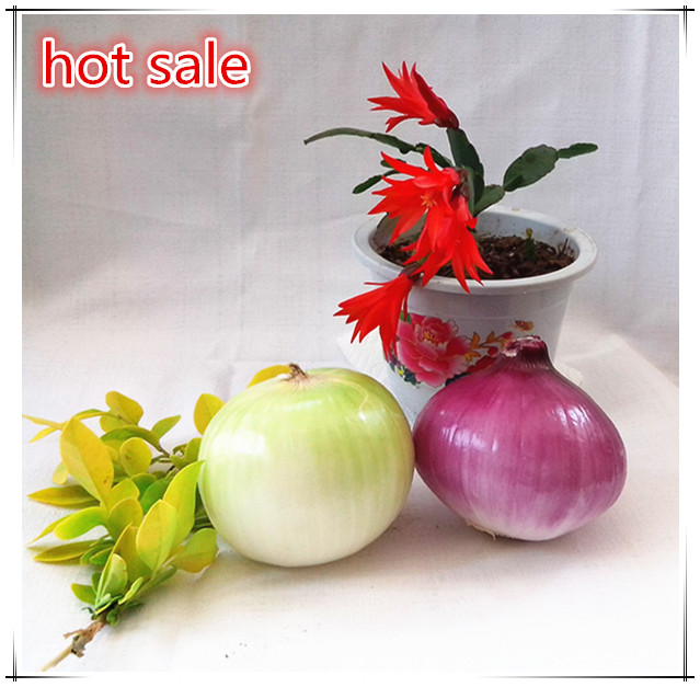 wholesale fresh onion in bulk