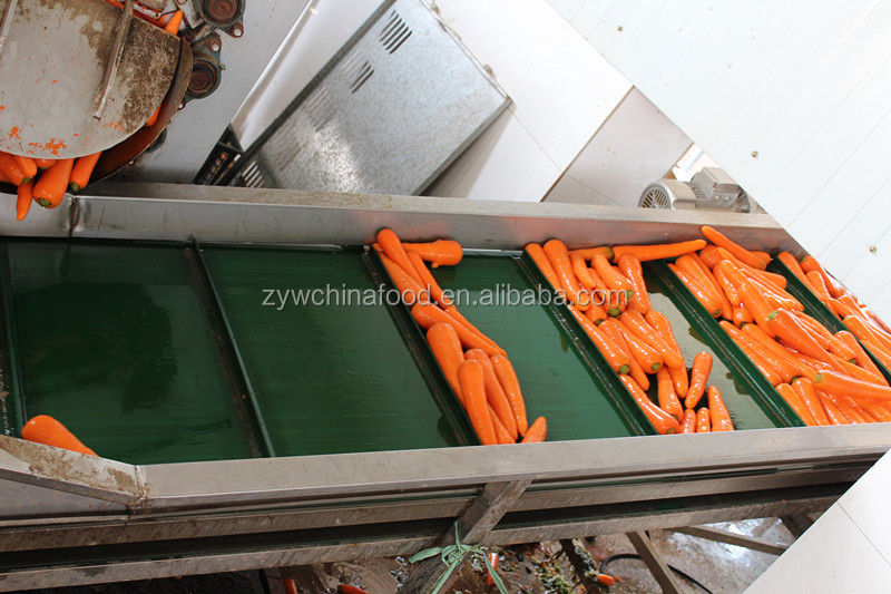 2014 Fresh Carrot Price For Middle East Markets