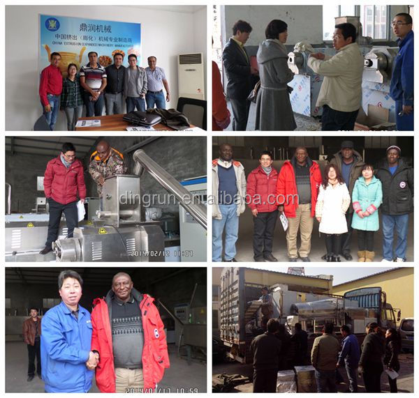 china Textured TVP Soya Nuggets Mince food Processing Machine