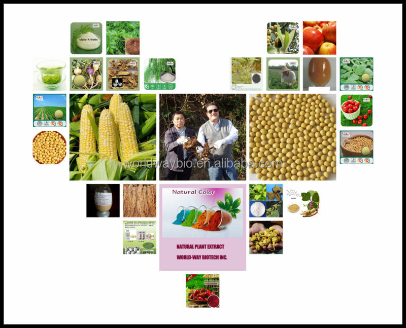 natural made Cocoa Extract enhance flavour for food cocoa seed extract