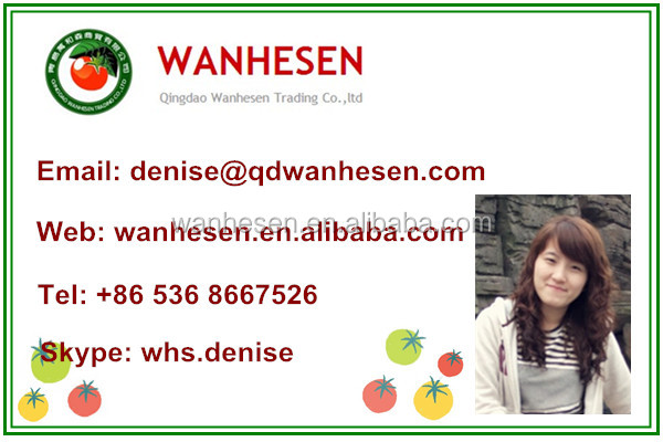 Xinjiang Origin tomato paste plant tomato paste