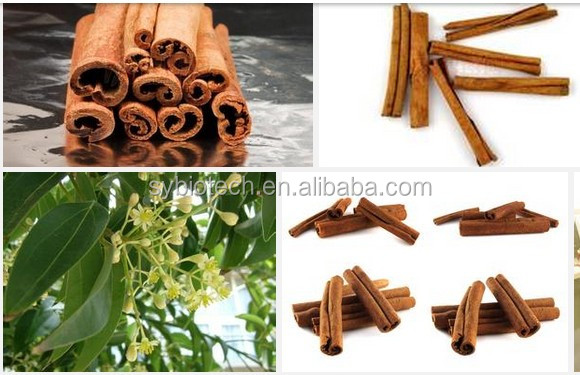 high quality cinnamon bark extract powder, 100% Pure Cinnamon bark extract, Cortex Cinnamomi Extract, Cassia Bark extract