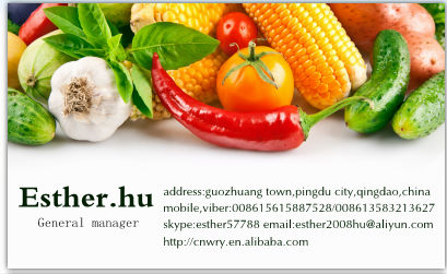 CHINESE FRESH FUJI APPLE NEW CROP